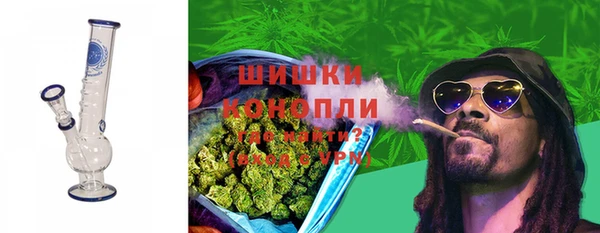 индика Балахна