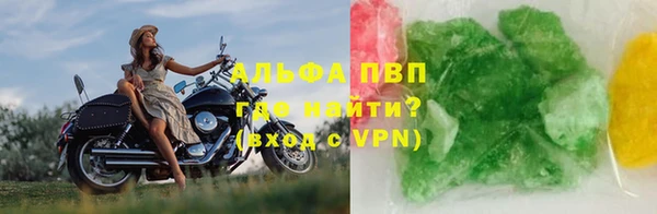 индика Балахна
