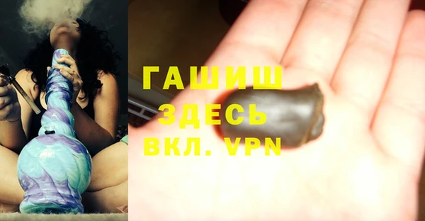 индика Балахна